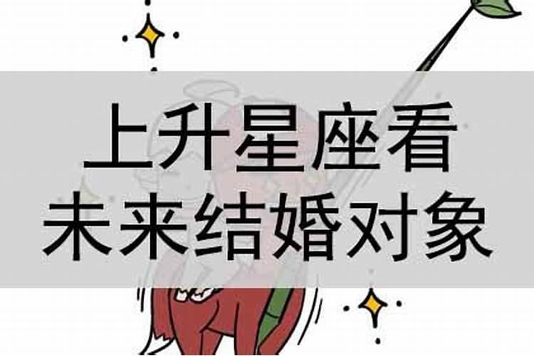 星座爱情准不准