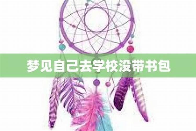 梦见自己去学校却进不去