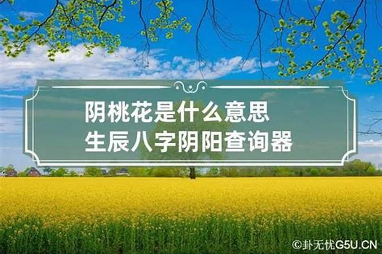 生辰八字带阴阳是什么意思呀