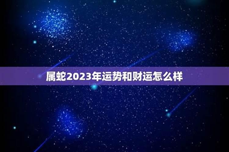 属蛇2023创业运势如何样