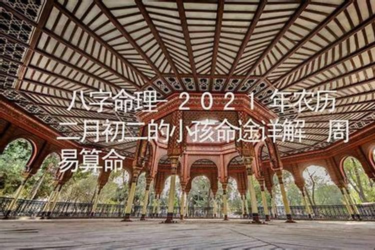 2021年农历二月属兔的运势