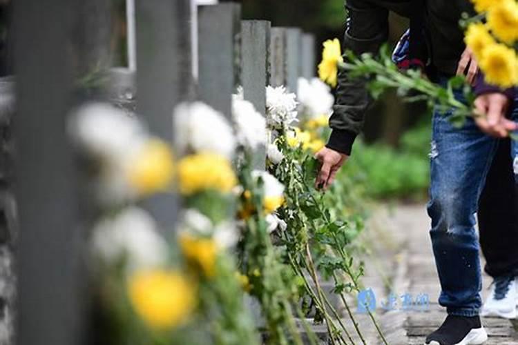 宿迁清明祭扫平台