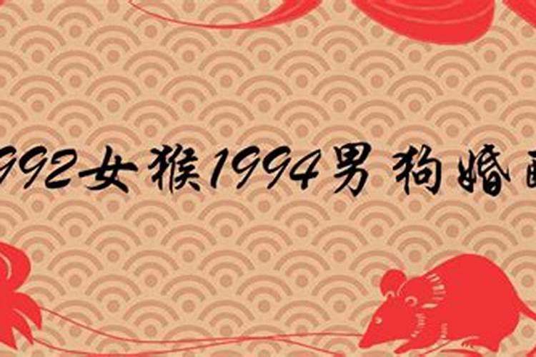 2024属蛇刑太岁的禁忌