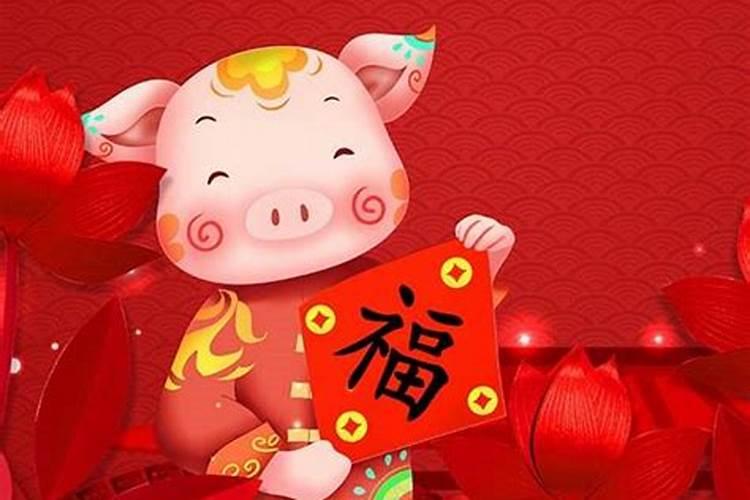 属猪今年感情运势怎么样