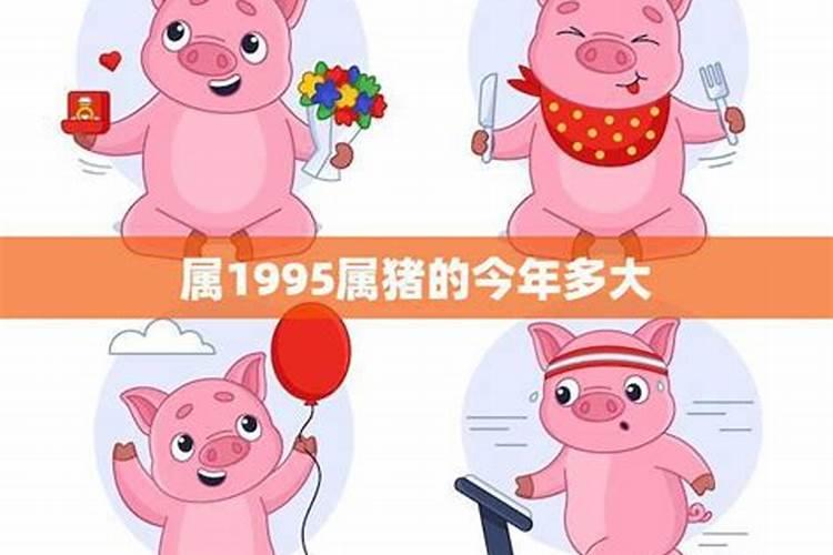 2021年属猪人的全年运势1995出生