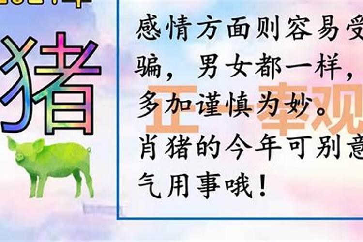 生肖猪2021年每月运势及运程