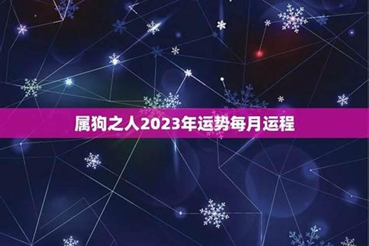 属狗之人2023年运势每月运程