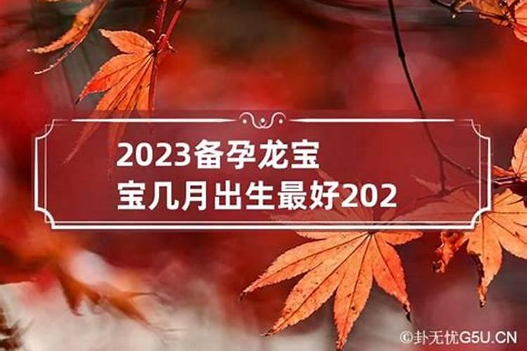 2023年属龙宝宝