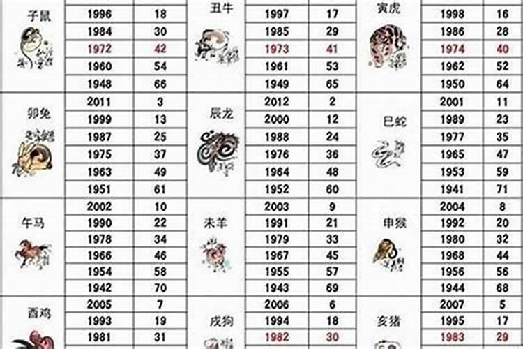 2023运程属猪什么生肖合适