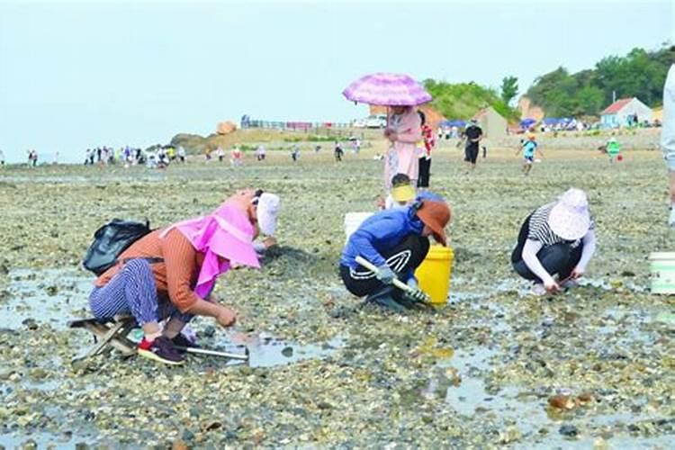 梦见自己去赶海