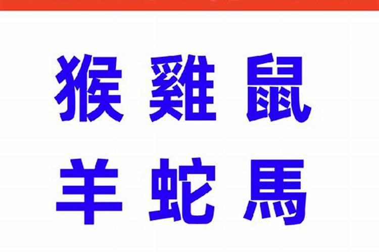 1999年2月19今年运势