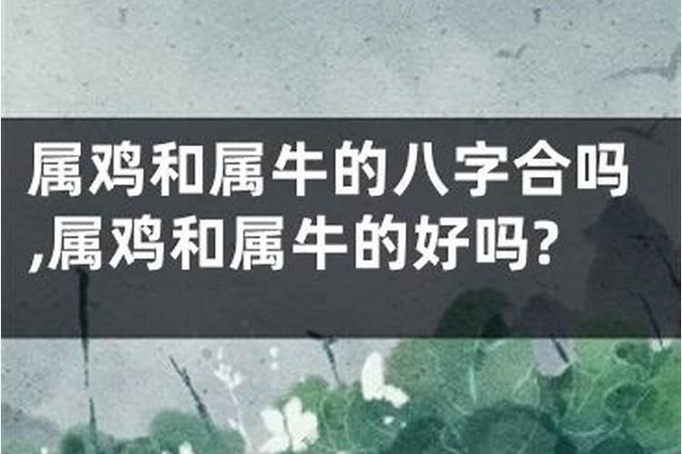 化解流冲刑害破值等各太岁方法