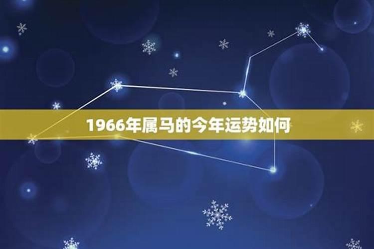 1966年出生的属相马今年运势