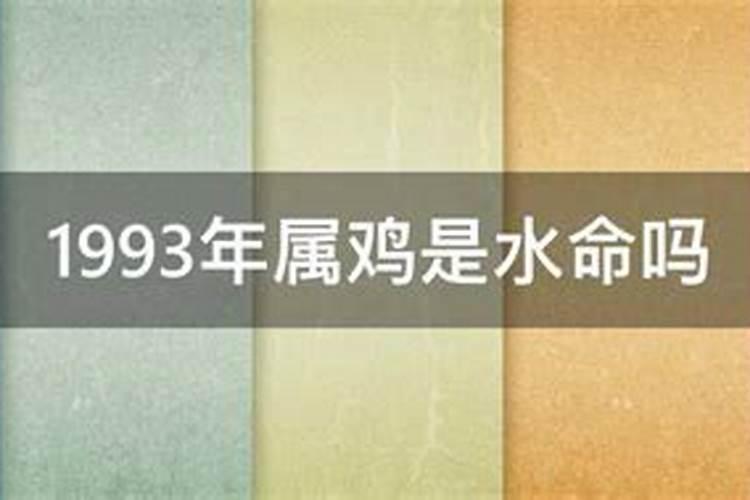 93年属鸡水命缺什么五行