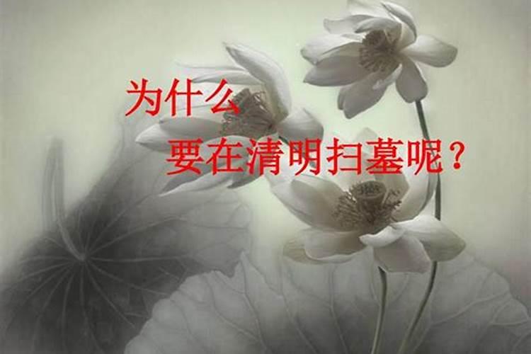 清明节大约在什么时候