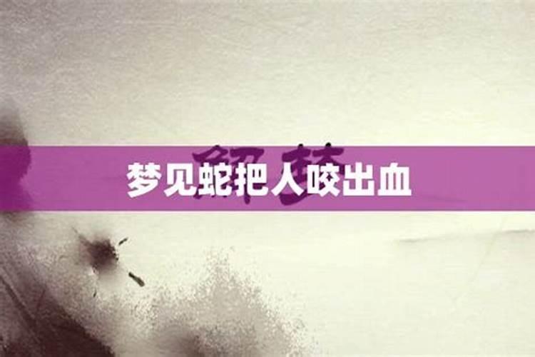 梦见蛇把家里人咬了一口