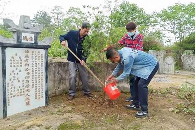 梦见在坟前种树