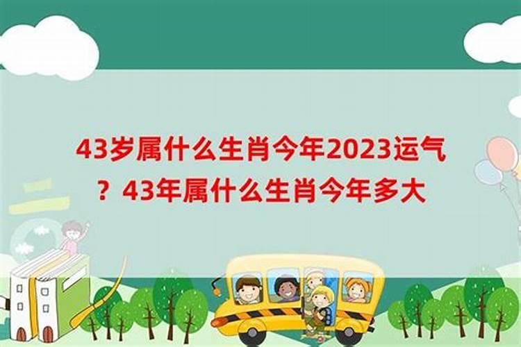 43年属什么是什么命