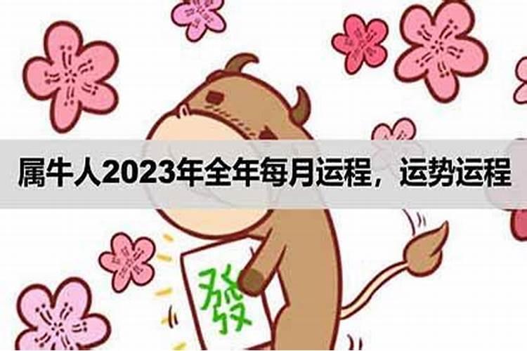 2023年8月属牛人运程如何样呢