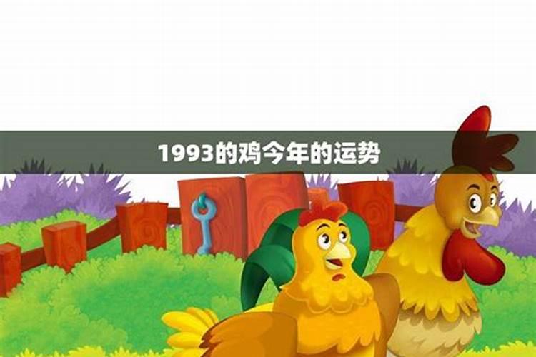 1993的鸡今年的运势