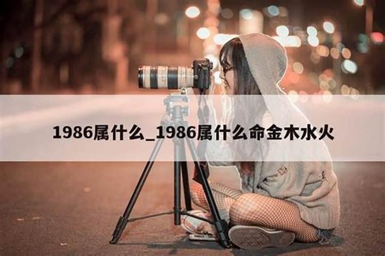 1986年生是属什么