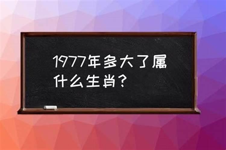 1977年属于什么生肖年