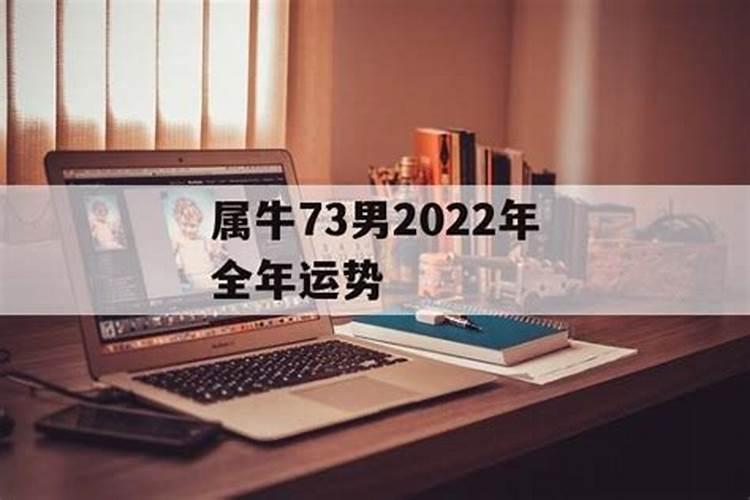 73年牛男2021年运势与桃花