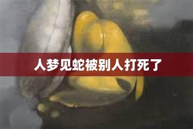 梦见蛇咬人自己的亲人被打死