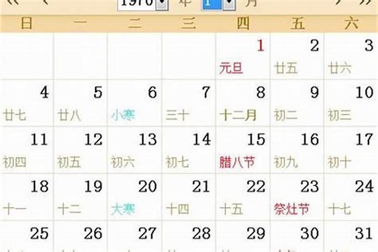 属猪农历8月