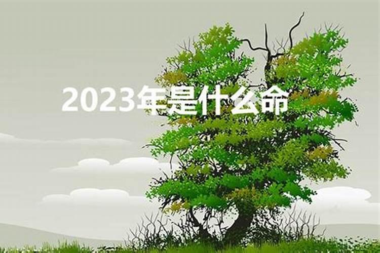 2023什么命五行属什么命的人