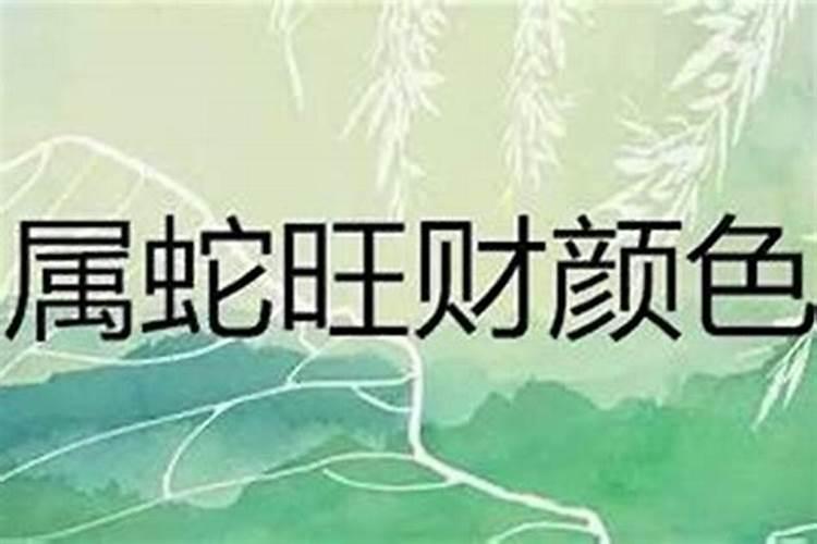 明年属蛇的财运和运气