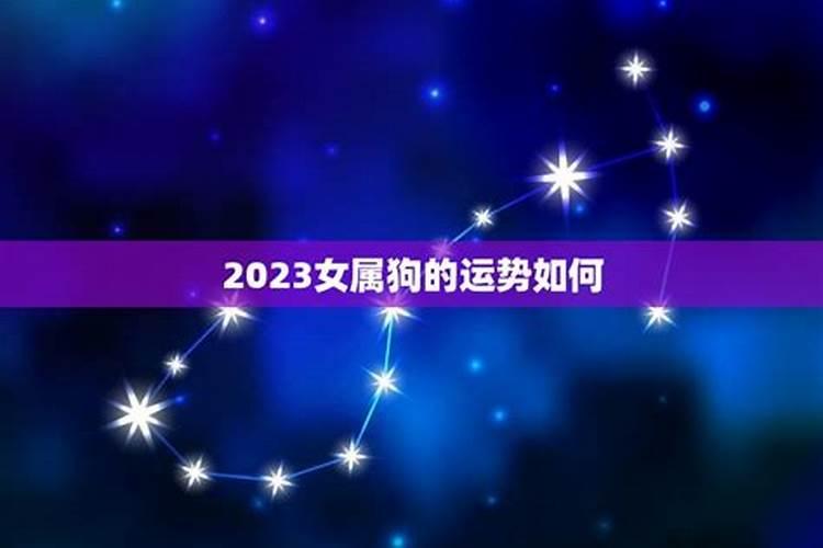 2023年狗年的运势如何呢