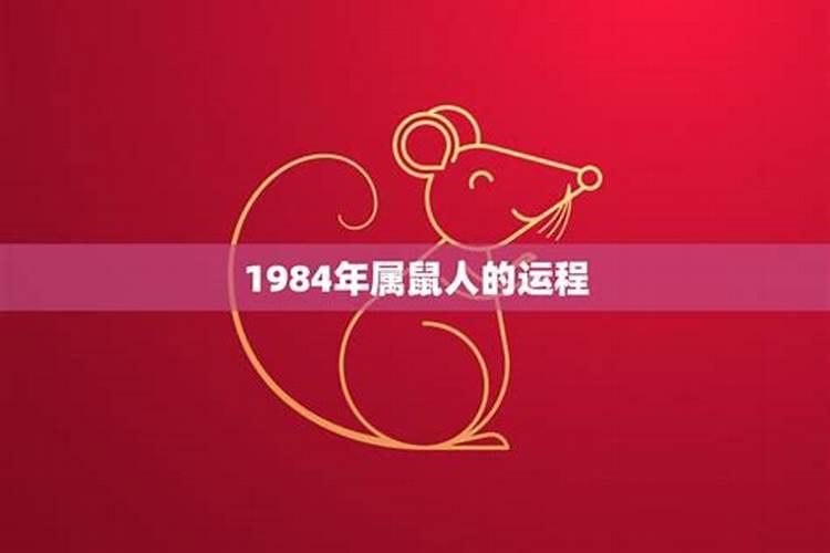 1984年属鼠的运程