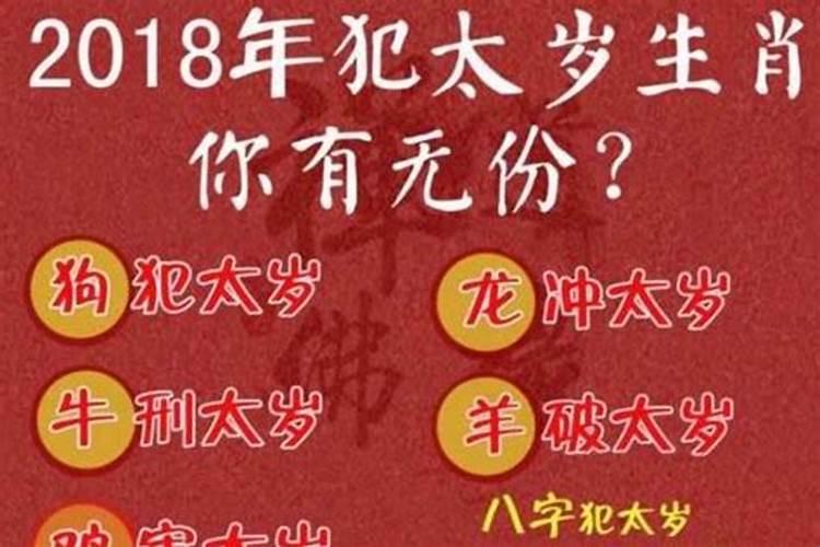 75年兔在2024年的运势如何