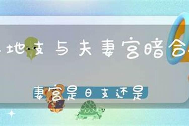 流年与日支相冲会怎样