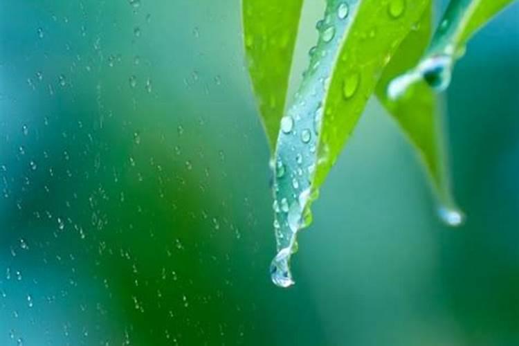 孕妇梦见下雨淋雨了