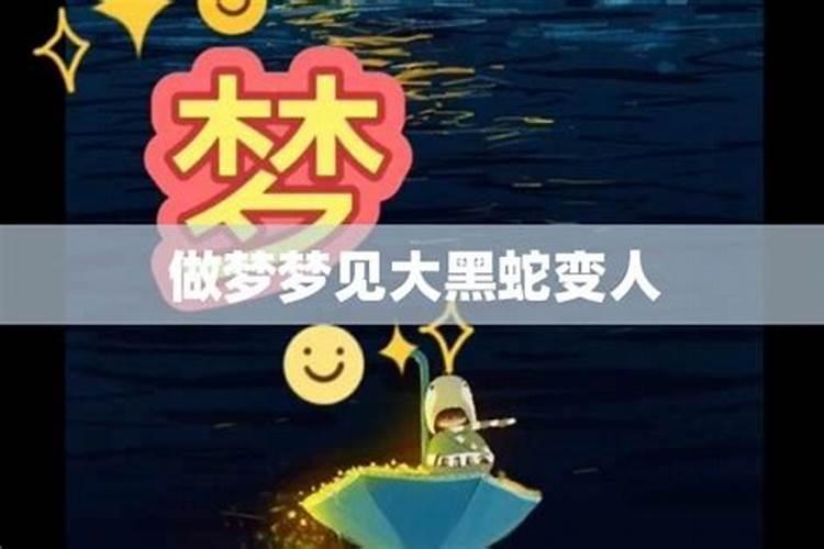 梦见人变蛇是什么意思周公解梦