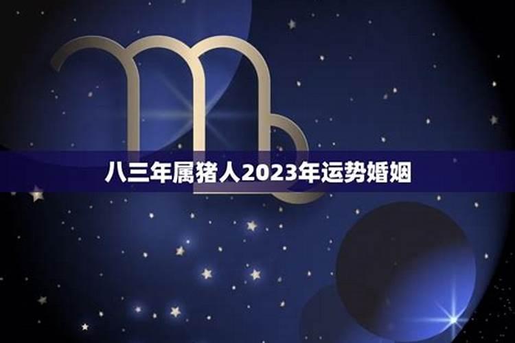 属猪2023年运程婚姻怎么样