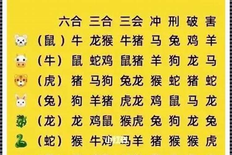 二零二六年是什么生肖