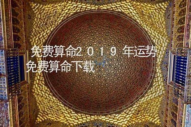 2019运程八字测算