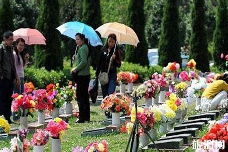 清明节祭扫日