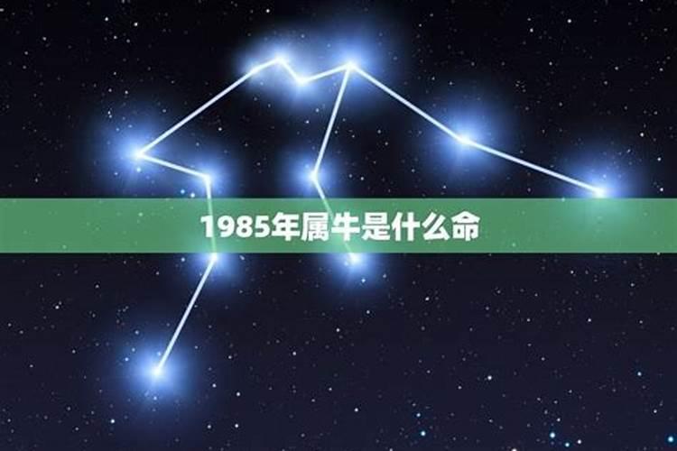 1985丑牛五行属什么的