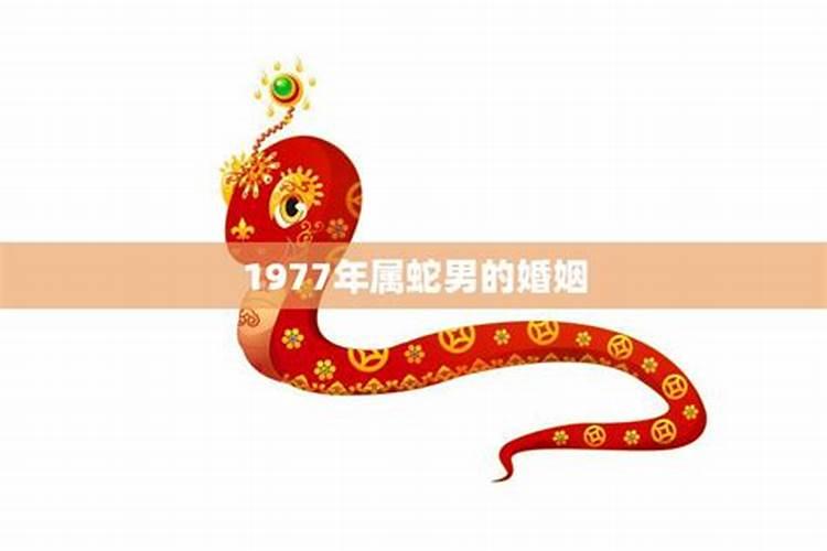 蛇年1977年出生的婚姻