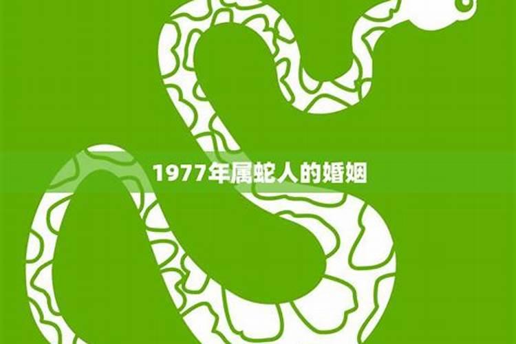 1977年属蛇人婚姻