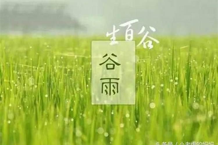 清明谷雨在几月份开始