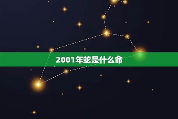 2001年出生属什么命