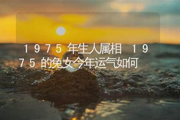 1975今年运势如何