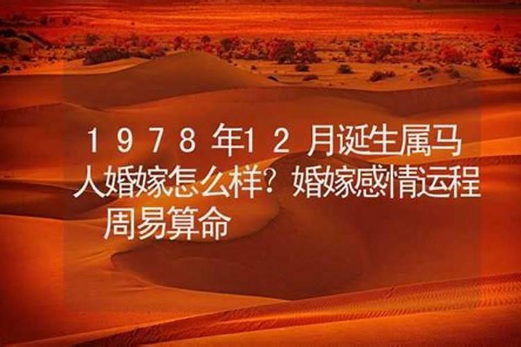 1978年的马在2021年的运势如何