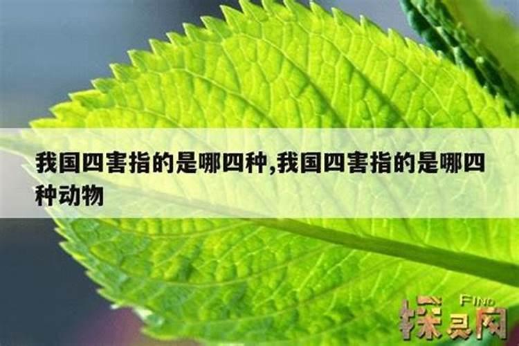 生辰八字可以算两次吗