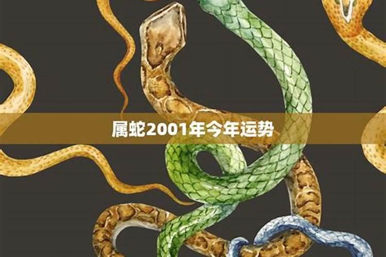 2001属蛇的今年运气